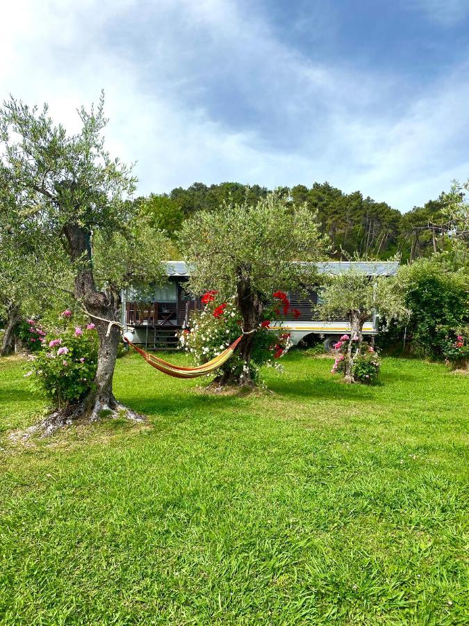 Azienda Agricola Della Mezzaluna