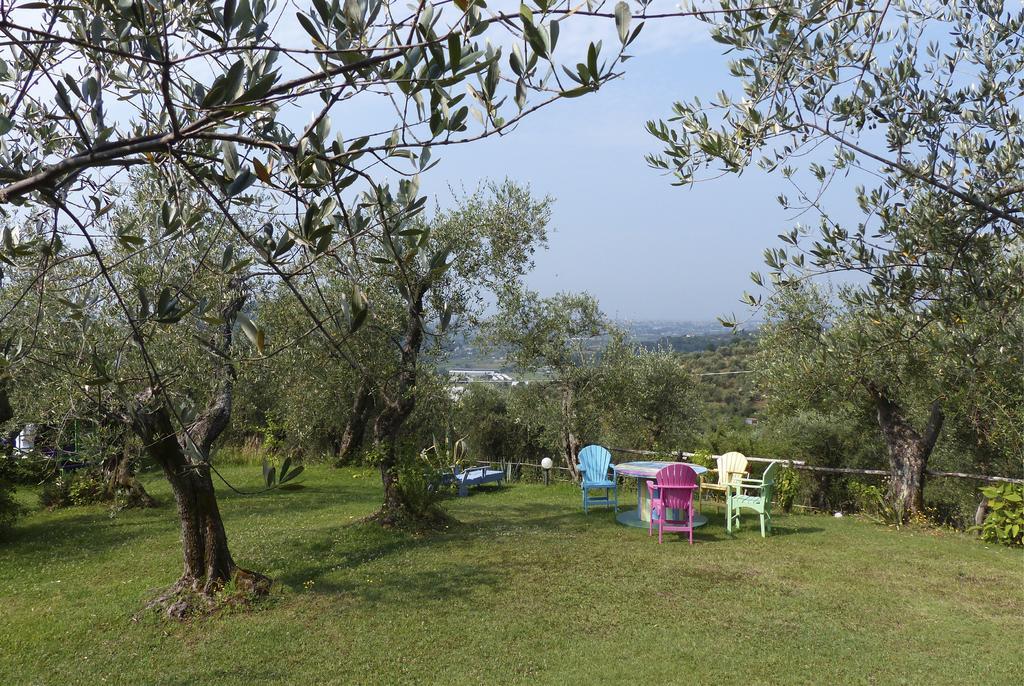 Azienda Agricola Della Mezzaluna *
