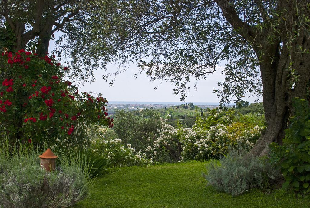 Farm stay Azienda Agricola Della Mezzaluna *